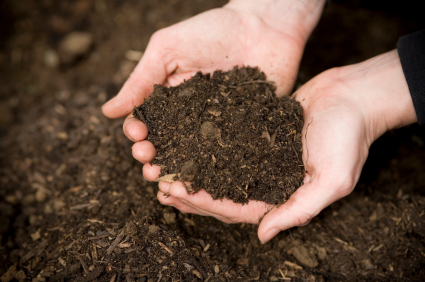 dirt
