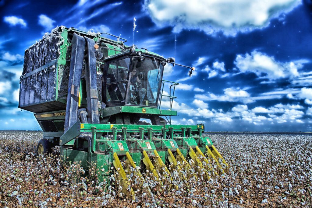 Cotton Harvester