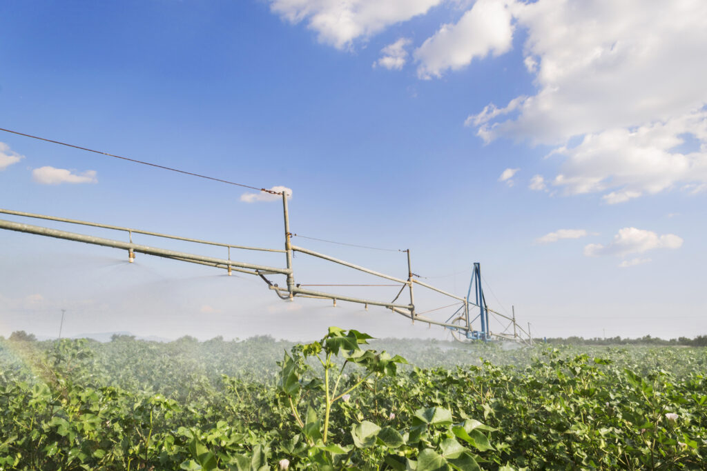 u.s. grown cotton