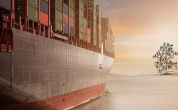 Market Focus: the Trade War and the Global Cotton Market