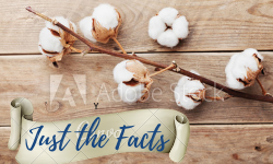The Truth about Cotton and Environmental Safety: Separating Fact from Fiction