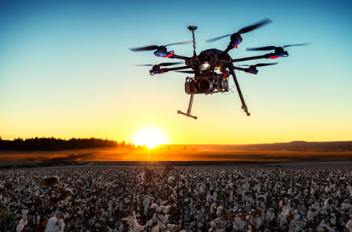 Exploring Robotics in Agriculture