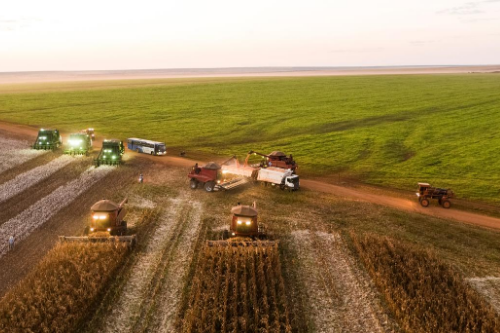 Cotton Industry Rises to Meet Demand for Sustainability